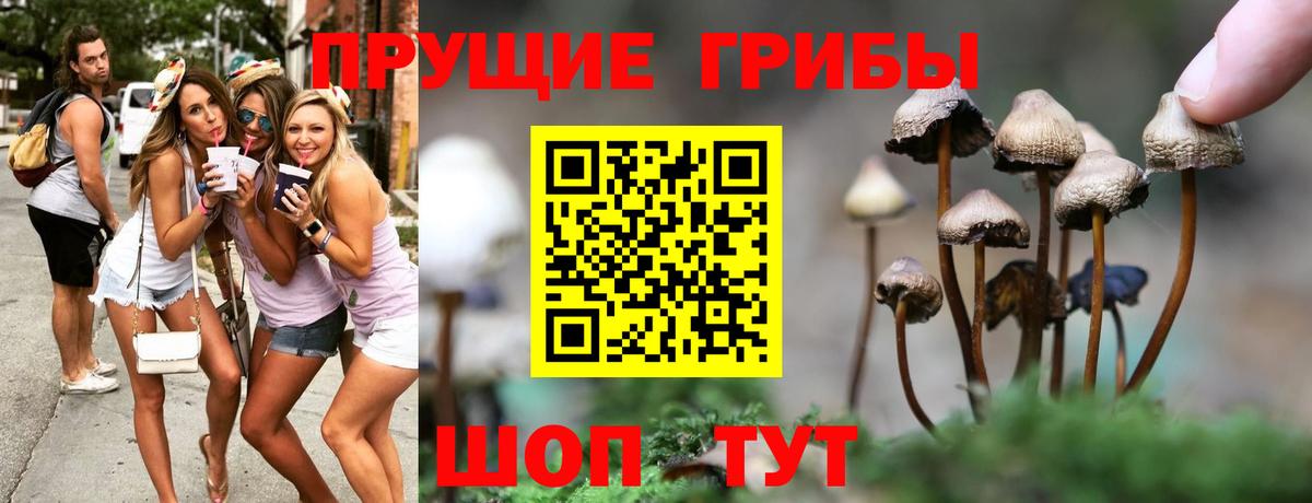 Галлюциногенные грибы Psilocybe  Вход с VPN  Лабинск 
